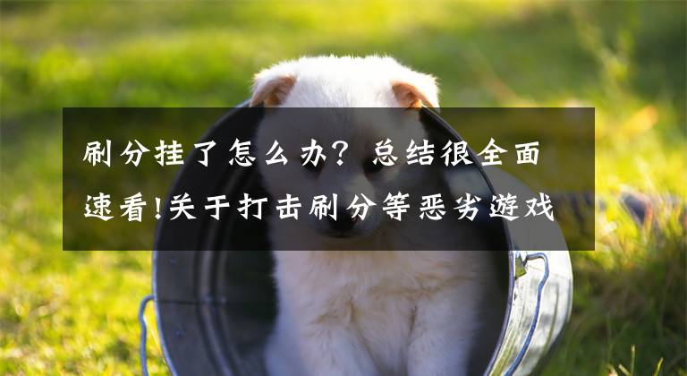 刷分挂了怎么办？总结很全面速看!关于打击刷分等恶劣游戏行为的封号处罚说明