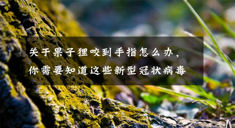 关于果子狸咬到手指怎么办，你需要知道这些新型冠状病毒侵袭！孩子该如何防护，才能把健康带回家
