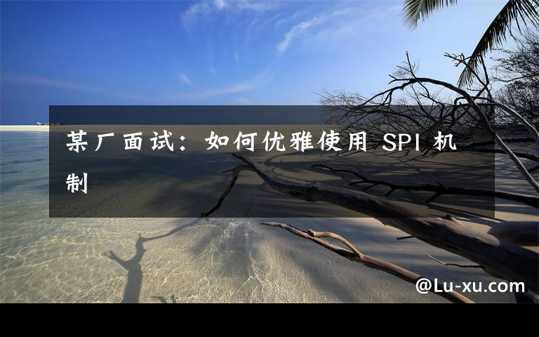 某厂面试:如何优雅使用 SPI 机制