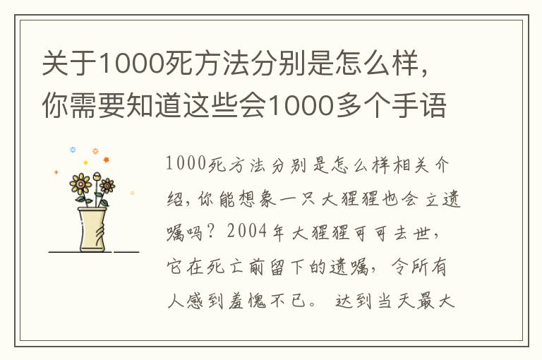 关于1000死方法分别是怎么样,你需要知道这些会1000多个手语能与人类交谈,这头大猩猩的死亡遗嘱,令人类羞愧