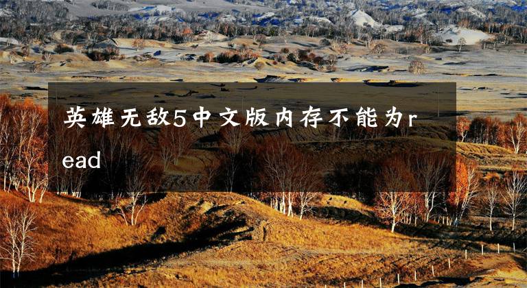 英雄无敌5中文版内存不能为read