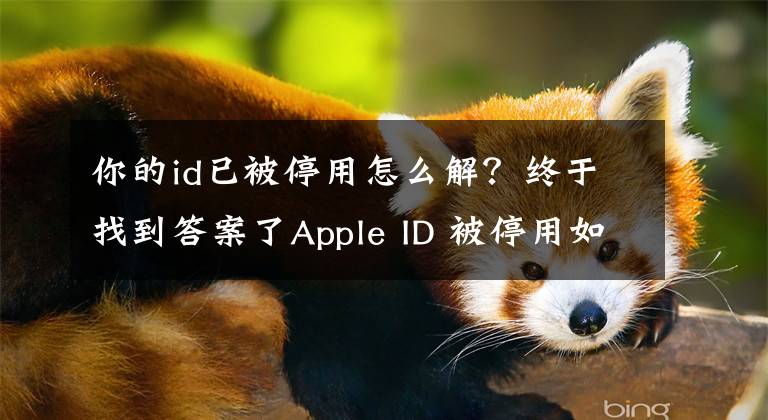 你的id已被停用怎么解?终于找到答案了Apple ID 被停用如何解决?