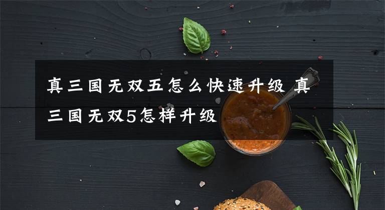真三国无双五怎么快速升级 真三国无双5怎样升级