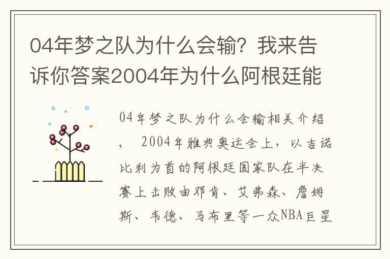 04年梦之队为什么会输?我来告诉你答案2004年为什么阿根廷能击败梦之队?不仅因为马努,3大原因是关键