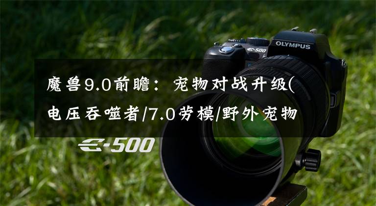 魔兽9.0前瞻：宠物对战升级(电压吞噬者/7.0劳模/野外宠物)