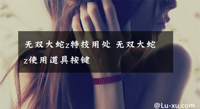 无双大蛇z特技用处 无双大蛇z使用道具按键