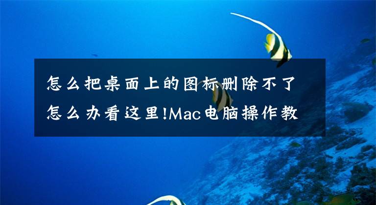 怎么把桌面上的图标删除不了怎么办看这里!Mac电脑操作教程之3招快速去除桌面上的图标文件