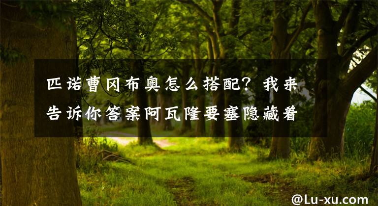 匹诺曹冈布奥怎么搭配？我来告诉你答案阿瓦隆要塞隐藏着什么冈布奥 不思议迷宫详解攻略