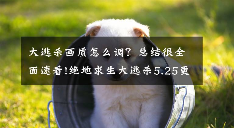 大逃杀画质怎么调?总结很全面速看!绝地求生大逃杀5.25更新后画面优化设置教程