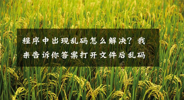 程序中出现乱码怎么解决?我来告诉你答案打开文件后乱码的原因及解决方法和预防措施