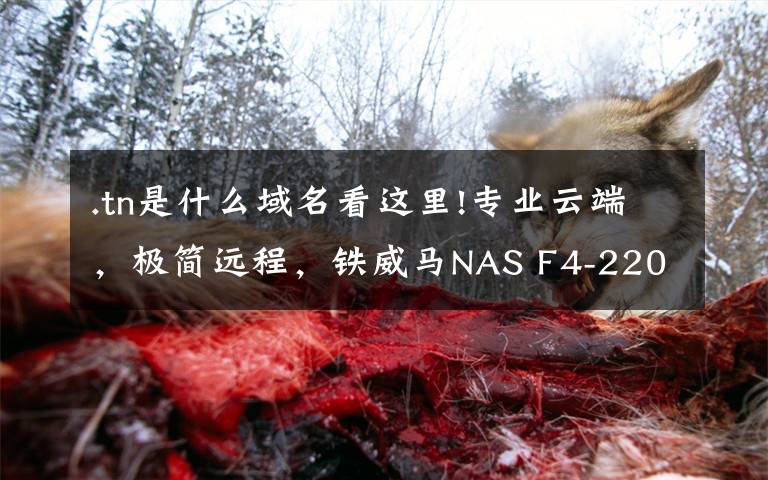 .tn是什么域名看这里!专业云端,极简远程,铁威马NAS F4-220企业级家用私有云深度评测