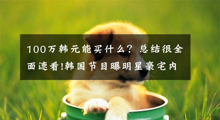 100万韩元能买什么?总结很全面速看!韩国节目曝明星豪宅内景,成龙家奢华摆设值22亿,权志龙名画吸睛