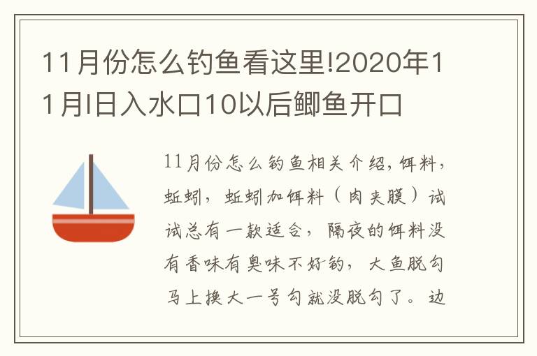 11月份怎么钓鱼看这里!2020年11月I日入水口10以后鲫鱼开口