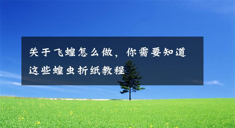 关于飞蝗怎么做，你需要知道这些蝗虫折纸教程
