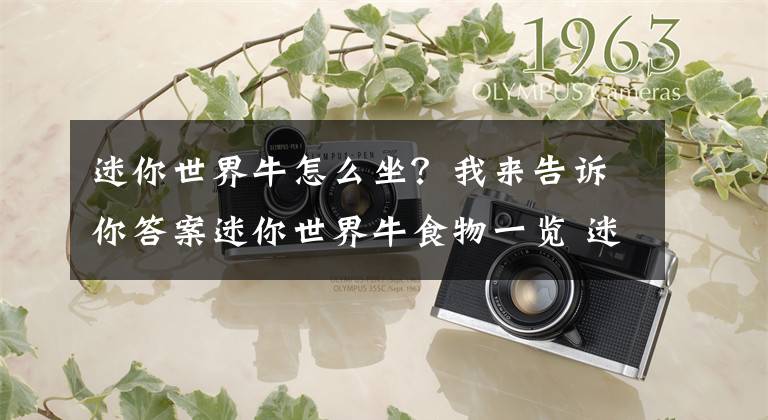 迷你世界牛怎么坐?我来告诉你答案迷你世界牛食物一览 迷你世界牛吃什么