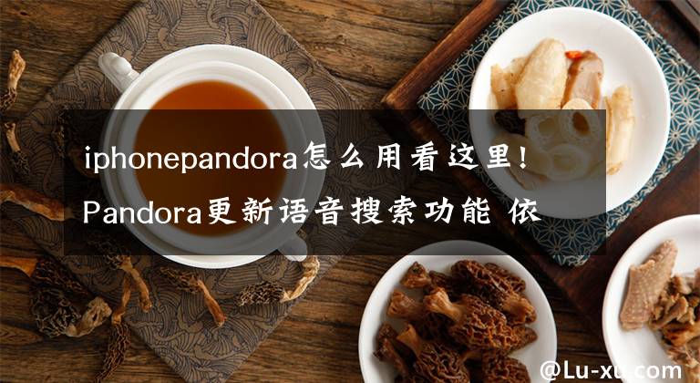 iphonepandora怎么用看这里!Pandora更新语音搜索功能 依你的喜好定制个性化歌单