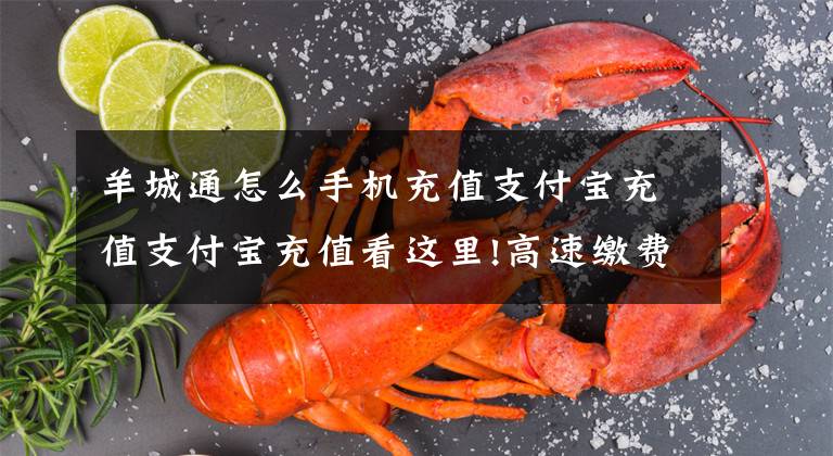 羊城通怎么手机充值支付宝充值支付宝充值看这里!高速缴费、羊城通充值,这些数字人民币使用场景加速在广州落地