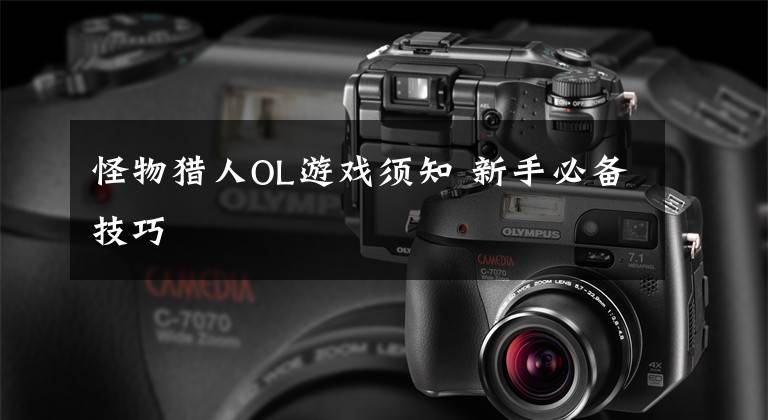 怪物猎人OL游戏须知 新手必备技巧