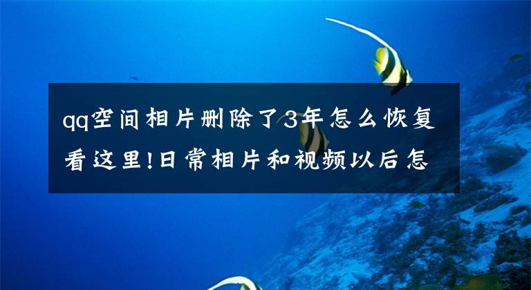 qq空间相片删除了3年怎么恢复看这里!日常相片和视频以后怎么存放哦,要转移阵地了吗?