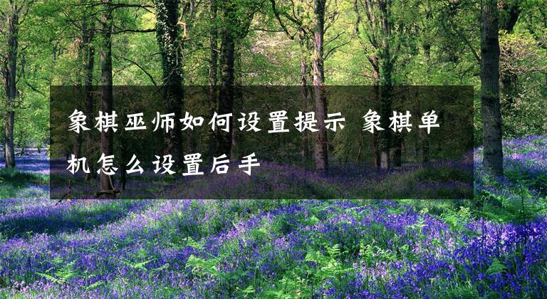 象棋巫师如何设置提示 象棋单机怎么设置后手