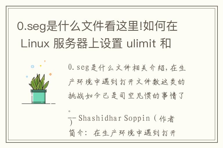 0.seg是什么文件看这里!如何在 Linux 服务器上设置 ulimit 和文件描述符数限制