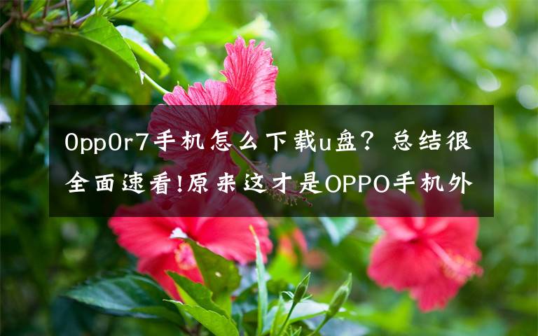 0pp0r7手机怎么下载u盘?总结很全面速看!原来这才是OPPO手机外接U盘的正确方法,用了半年多都搞错了
