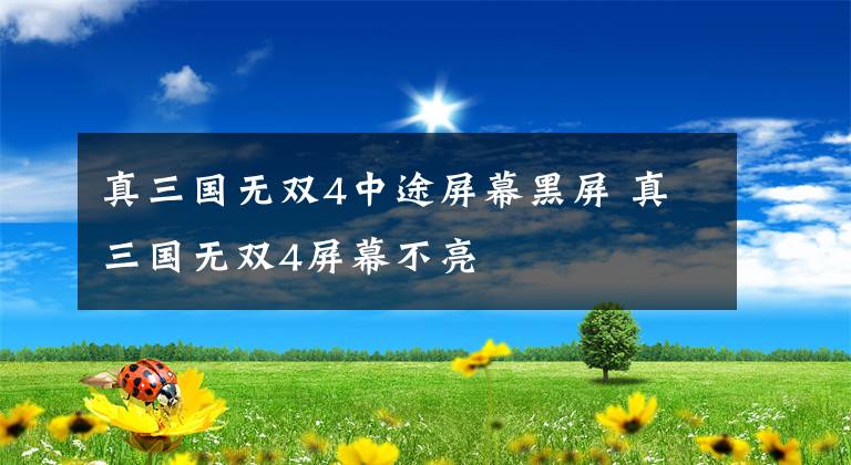 真三国无双4中途屏幕黑屏 真三国无双4屏幕不亮