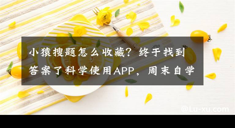 小猿搜题怎么收藏？终于找到答案了科学使用APP，周末自学更有效
