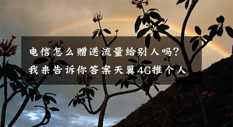 电信怎么赠送流量给别人吗?我来告诉你答案天翼4G推个人定制套餐 用不完可转赠亲友