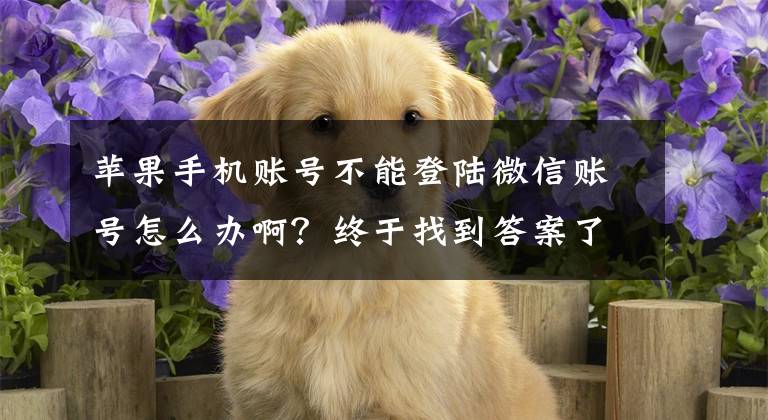 苹果手机账号不能登陆微信账号怎么办啊?终于找到答案了王双雄:微信闪退、登陆不上怎么办?账号安全等问题?