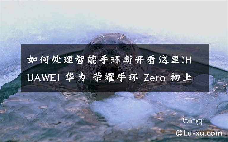 如何处理智能手环断开看这里!HUAWEI 华为 荣耀手环 Zero 初上手