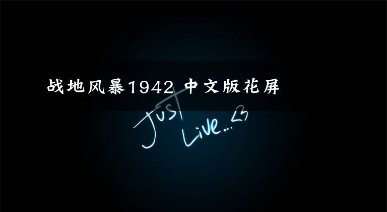 战地风暴1942 中文版花屏