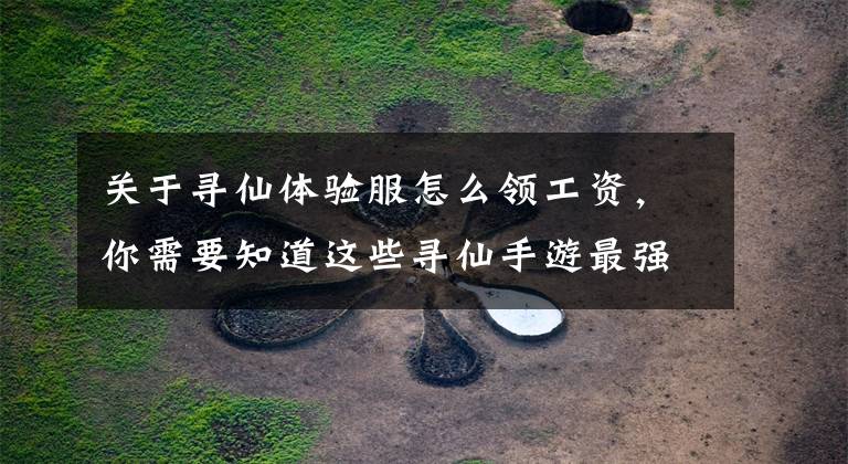 关于寻仙体验服怎么领工资，你需要知道这些寻仙手游最强赚钱攻略 如何获取更多财富