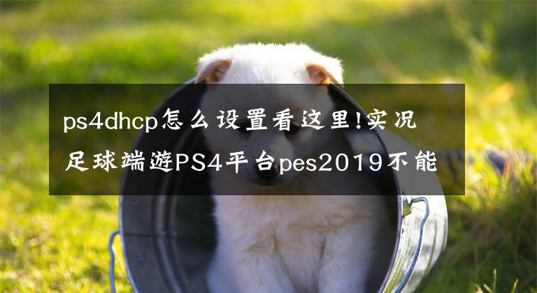 ps4dhcp怎么设置看这里!实况足球端游PS4平台pes2019不能联机解决方法