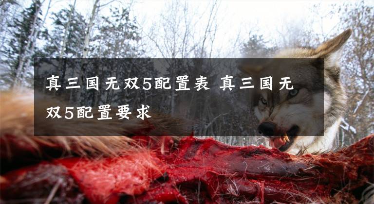 真三国无双5配置表 真三国无双5配置要求