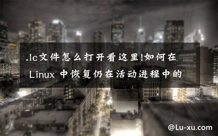 .lc文件怎么打开看这里!如何在 Linux 中恢复仍在活动进程中的已删除文件