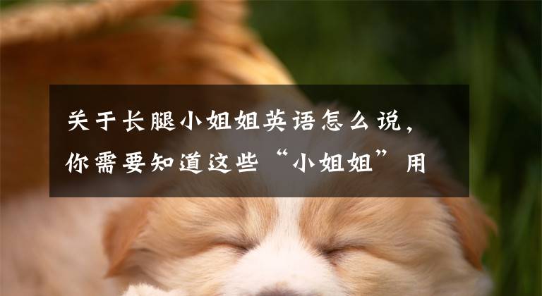 关于长腿小姐姐英语怎么说，你需要知道这些“小姐姐”用英语怎么说？