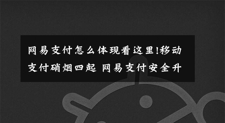 网易支付怎么体现看这里!移动支付硝烟四起 网易支付安全升级