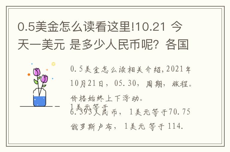 0.5美金怎么读看这里!10.21 今天一美元 是多少人民币呢?各国 外汇交易价格 是多少呢?