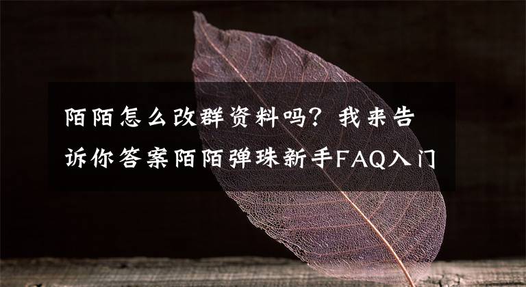 陌陌怎么改群资料吗？我来告诉你答案陌陌弹珠新手FAQ入门玩法全攻略