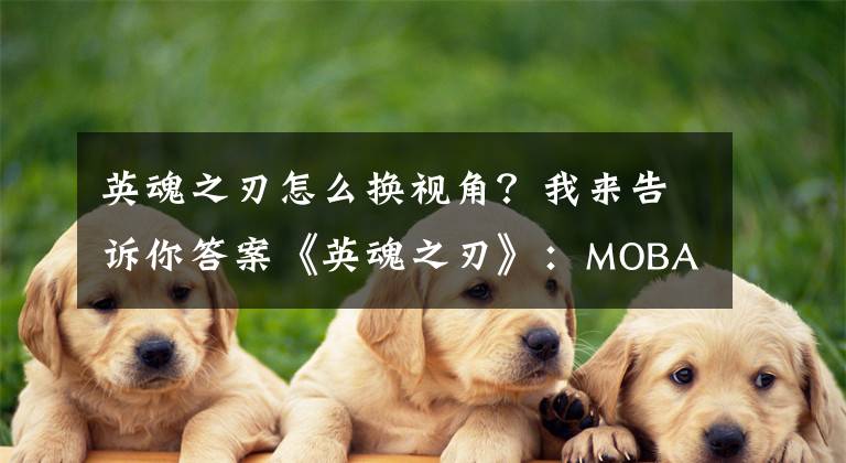 英魂之刃怎么换视角？我来告诉你答案《英魂之刃》：MOBA手游大测试来袭！第五弹！