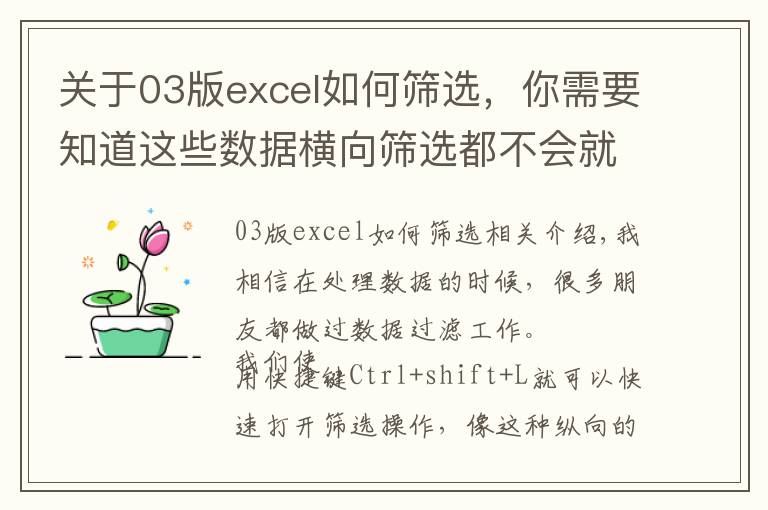 关于03版excel如何筛选,你需要知道这些数据横向筛选都不会就out了,学会Ctrl+0快捷键两秒搞定