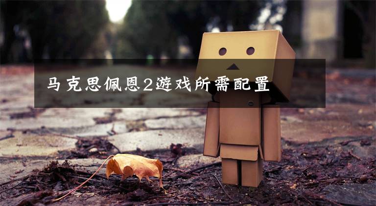 马克思佩恩2游戏所需配置