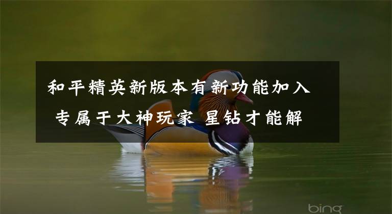 和平精英新版本有新功能加入 专属于大神玩家 星钻才能解锁！