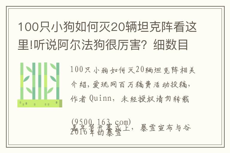 100只小狗如何灭20辆坦克阵看这里!听说阿尔法狗很厉害?细数目前AI还难以战胜我们的游戏