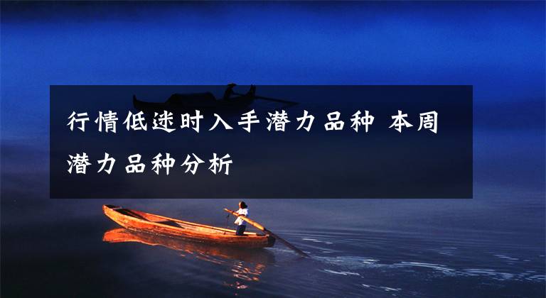 行情低迷时入手潜力品种 本周潜力品种分析