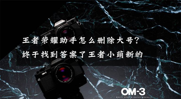 王者荣耀助手怎么删除大号?终于找到答案了王者小萌新的恋爱日记