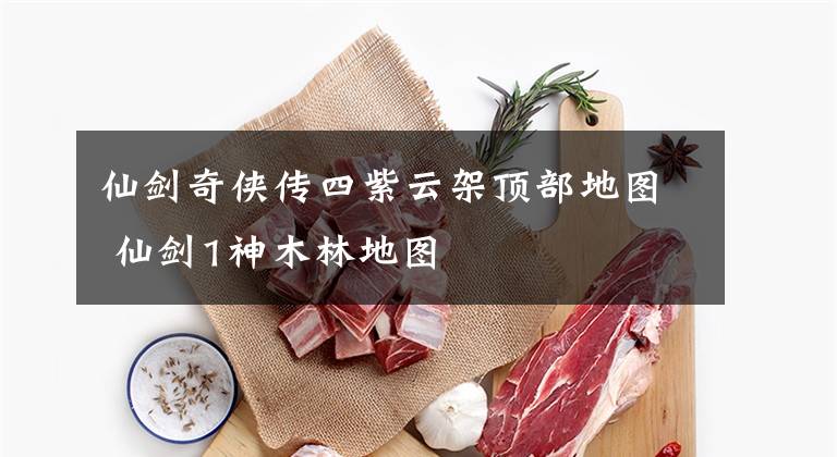 仙剑奇侠传四紫云架顶部地图 仙剑1神木林地图