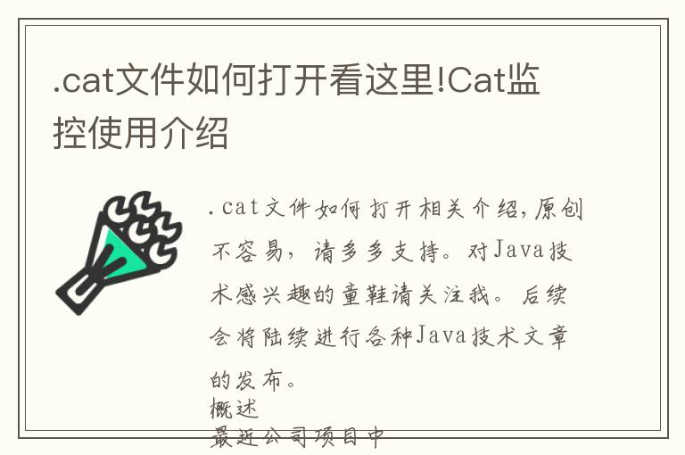 .cat文件如何打开看这里!Cat监控使用介绍