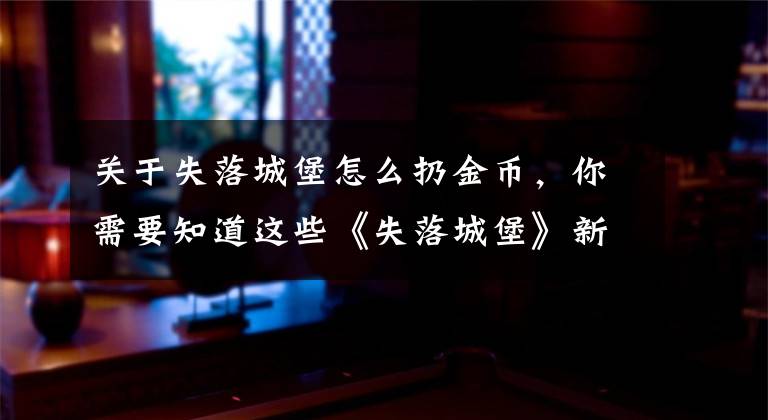 关于失落城堡怎么扔金币，你需要知道这些《失落城堡》新人向加点玩法技巧解析攻略